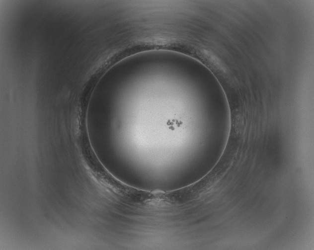 X0000074970544200609011218