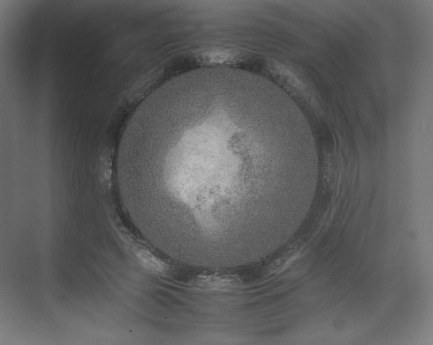 X0000074970545200609011218