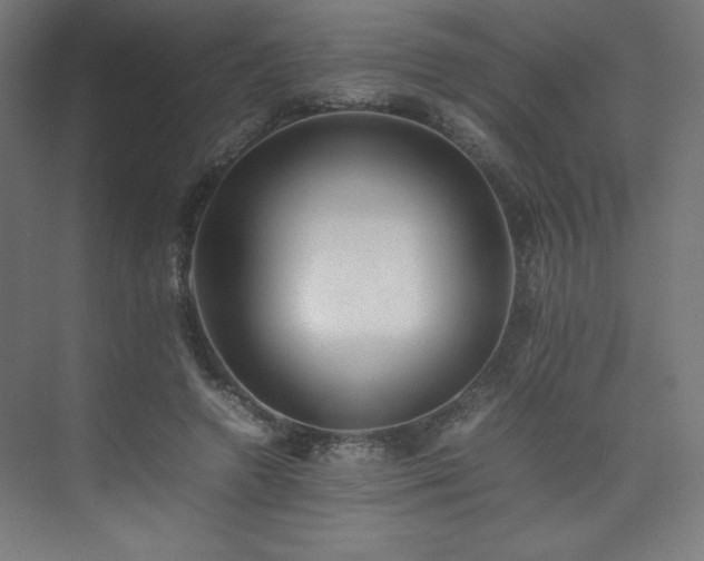 X0000074970546200609011218