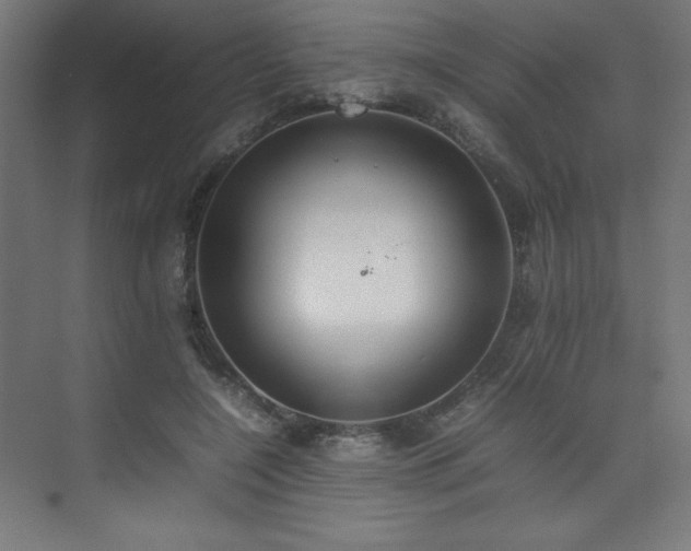 X0000074970548200609011218