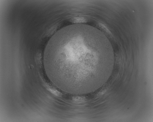 X0000074970549200609011218