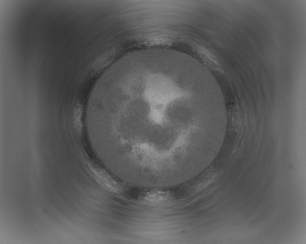 X0000074970550200609011218