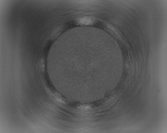 X0000074970551200609011218