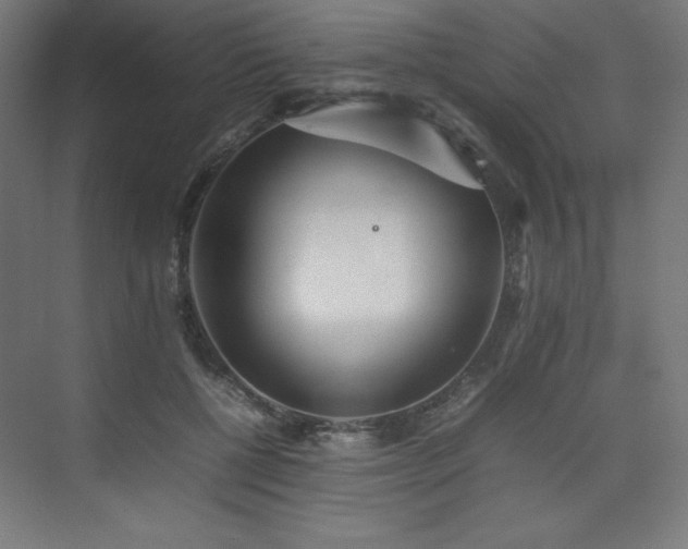 X0000074970552200609011218