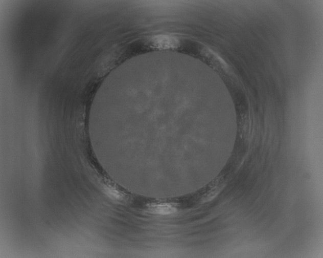 X0000074970553200609011218