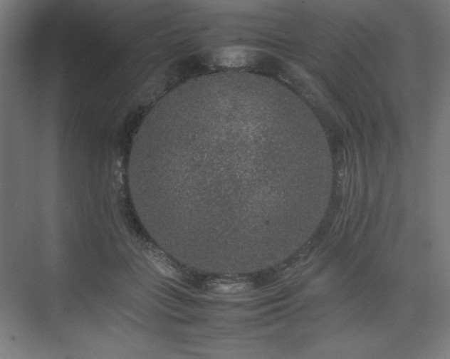 X0000074970555200609011219