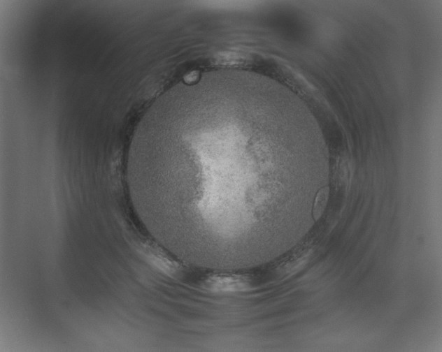 X0000074970557200609011219