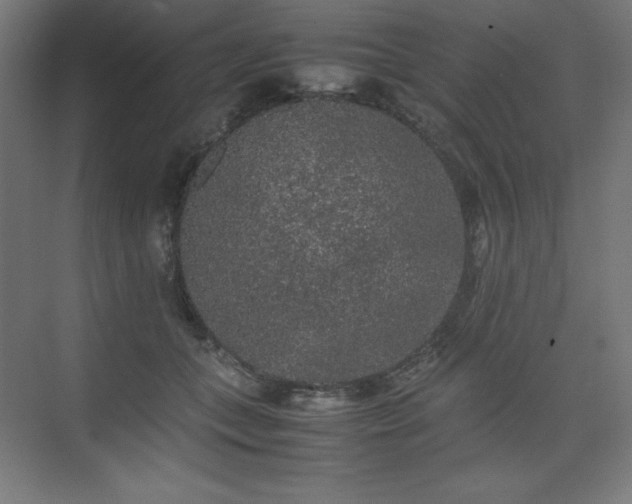 X0000074970559200609011219