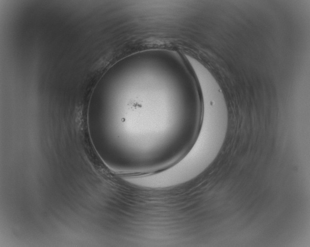 X0000074970560200609011219