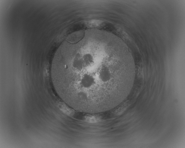 X0000074970561200609011219