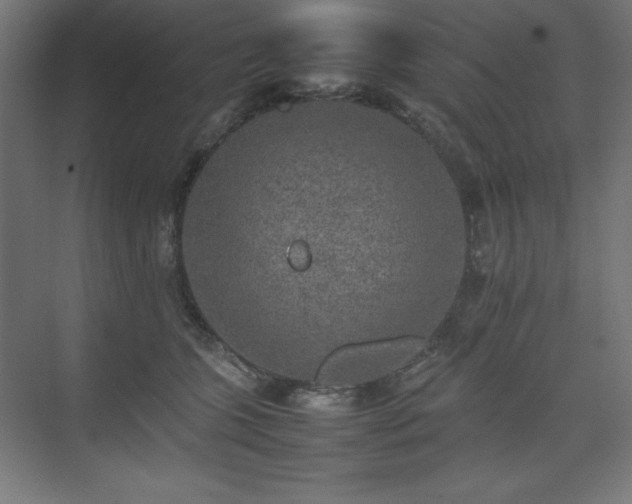 X0000074970563200609011219