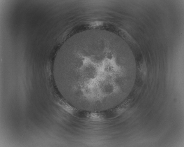 X0000074970565200609011219