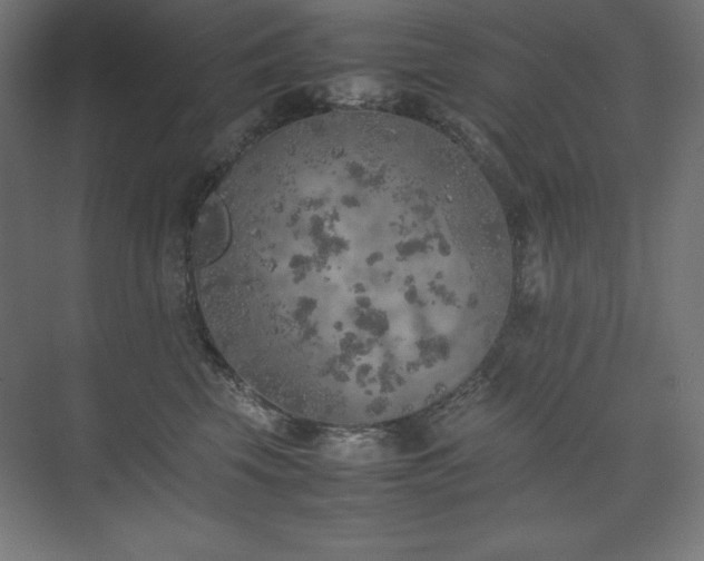 X0000074970569200609011219