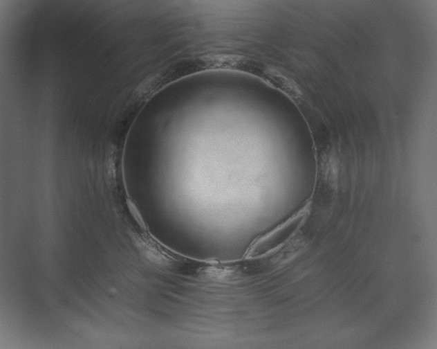 X0000074970570200609011219