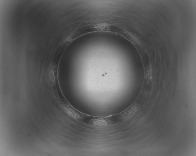 X0000074970572200609011219