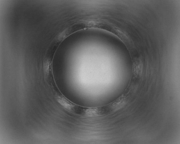 X0000074970574200609011219