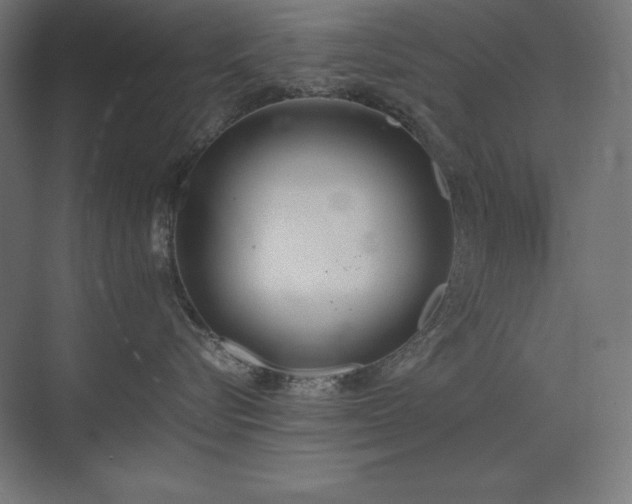 X0000074970576200609011219