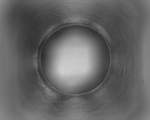 X0000074970578200609011218