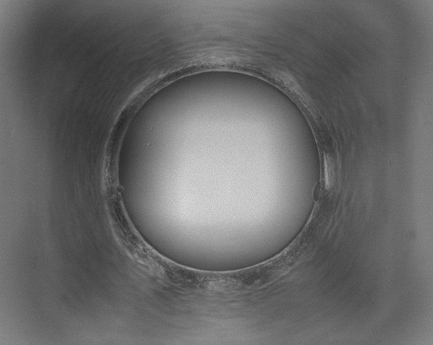 X0000074970579200609011218