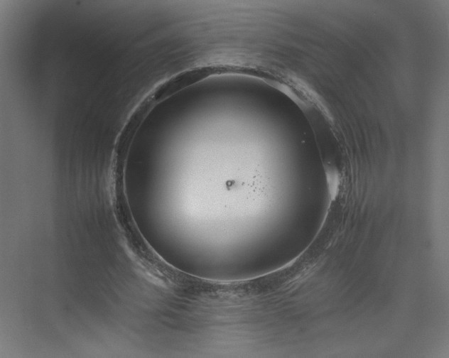 X0000074970580200609011218