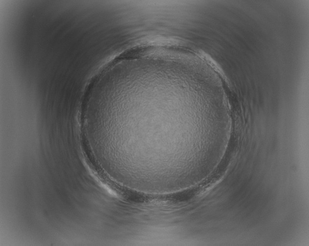 X0000074970581200609011218