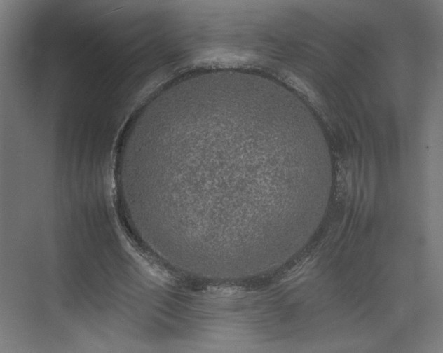 X0000074970582200609011218