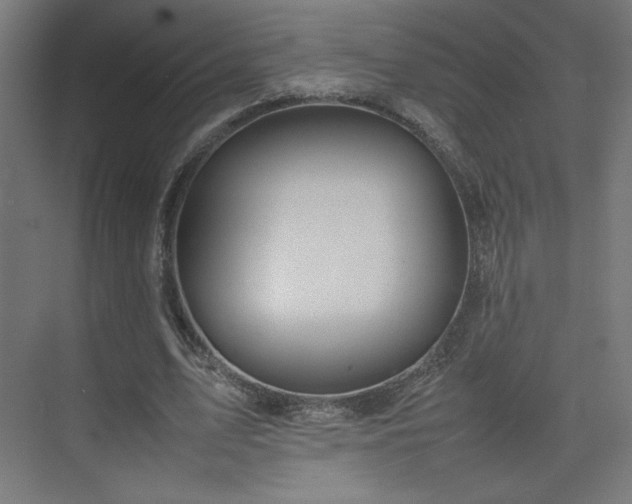 X0000074970583200609011218