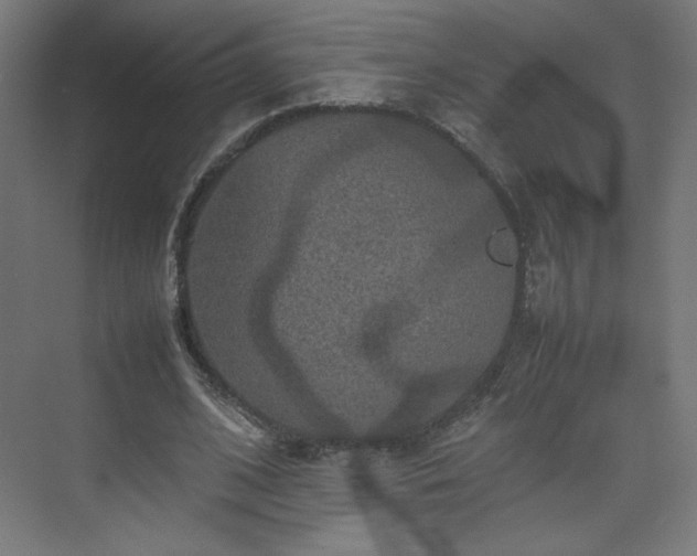 X0000074970584200609011218