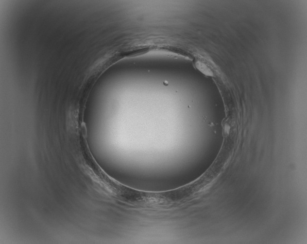 X0000074970585200609011218