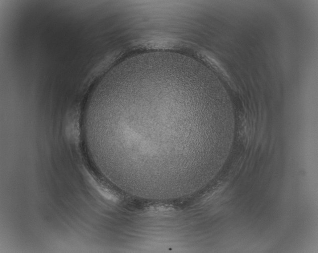 X0000074970586200609011218