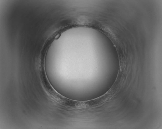 X0000074970587200609011218