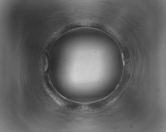 X0000074970589200609011218