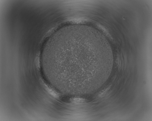 X0000074970590200609011218