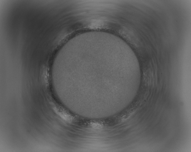 X0000074970592200609011218