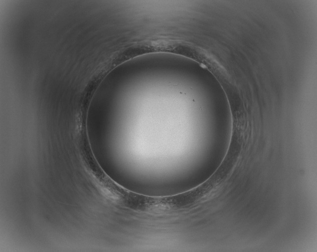 X0000074970593200609011218