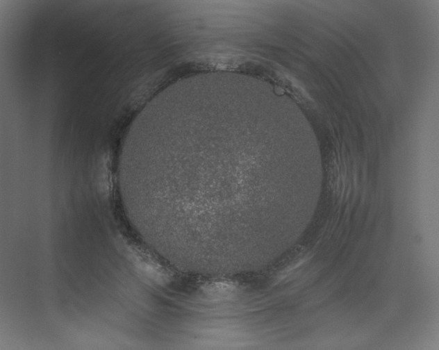 X0000074970594200609011218