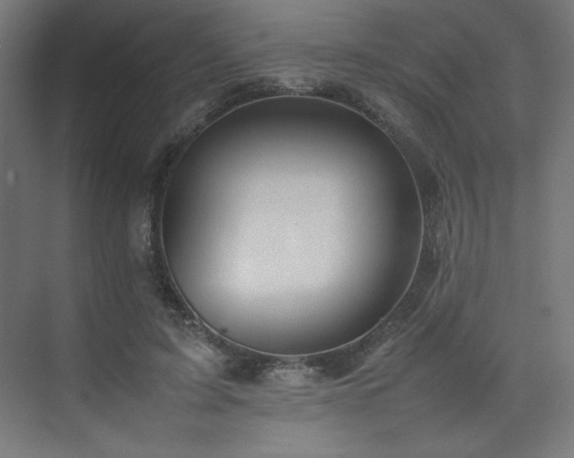 X0000074970595200609011218