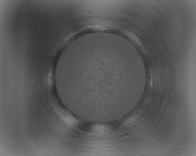 X0000074970596200609011218