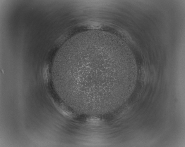 X0000074970598200609011218