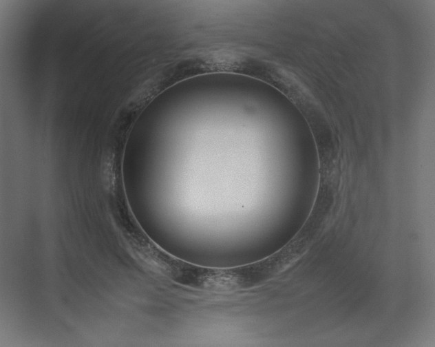 X0000074970599200609011218