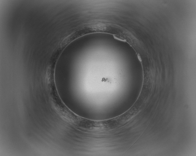 X0000074970600200609011218