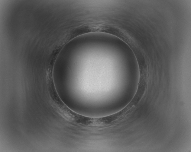 X0000074970601200609011218