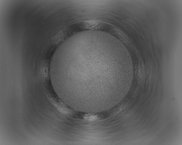 X0000074970602200609011218