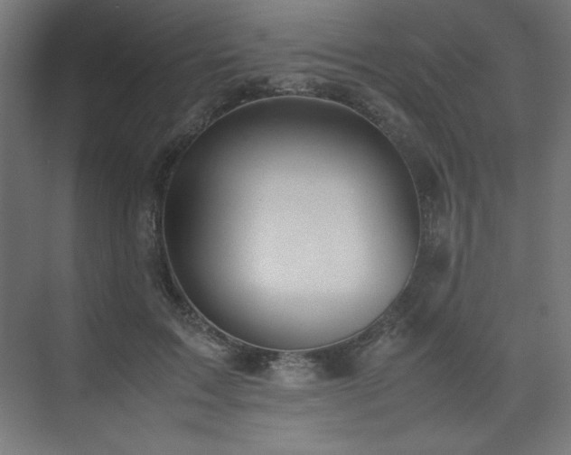 X0000074970603200609011218