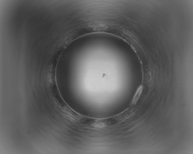 X0000074970604200609011218