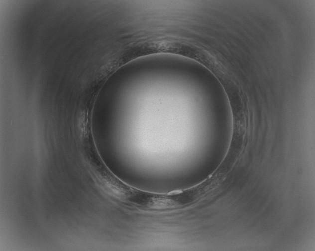 X0000074970605200609011218