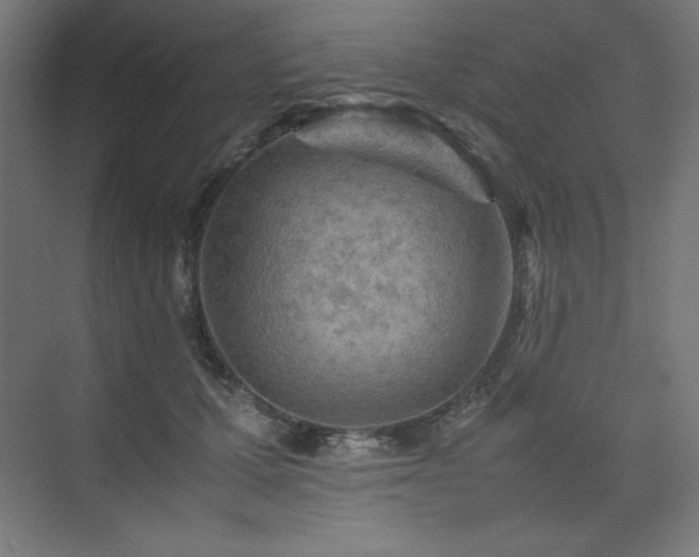 X0000074970607200609011218