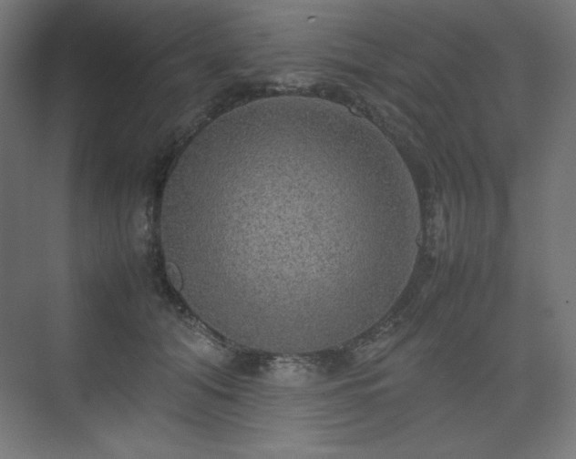 X0000074970608200609011218