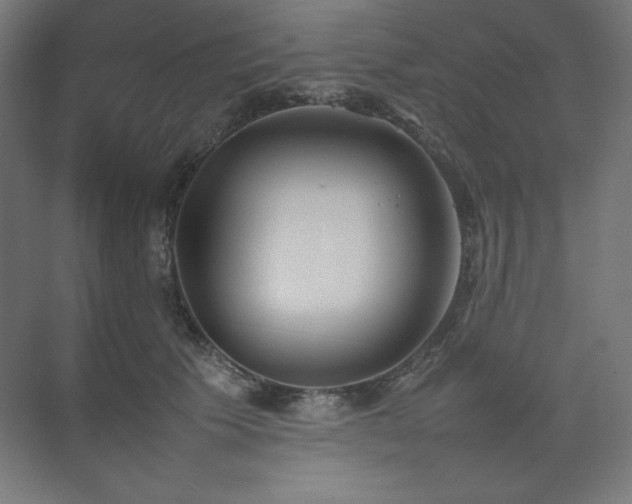 X0000074970609200609011217