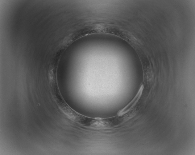 X0000074970611200609011217